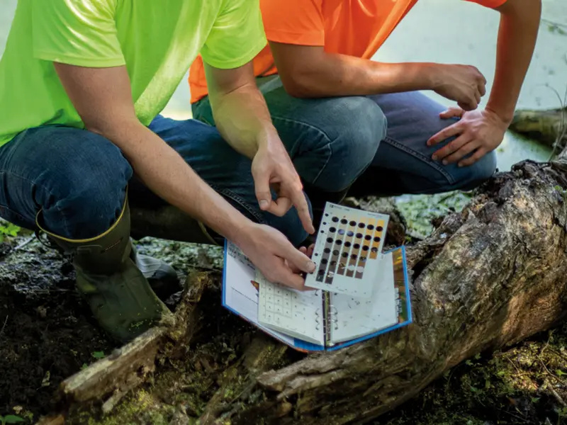Wetland Delineation Field Work
